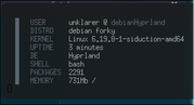 debian-hypr.png