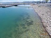 [Image: P5100008.jpg]