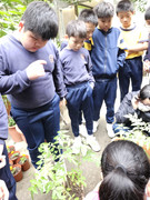 e263732c-3166-4c74-9b43-87a6eaa7b0b9