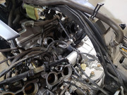 IMG-20230324-185921.jpg