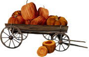 TADD_elements_Shimmer_Fall_2