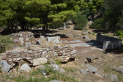 DSC-0052