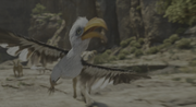 vlcsnap-2025-02-23-22h42m09s692.png
