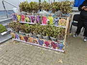 IMG20261017124947