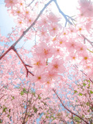 photo 3 2026 01 16 22 11 28