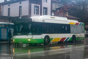 IMG-4941