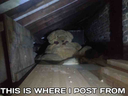 This-Is-Where-I-Post-From-042