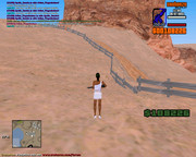 gta_sa 2021-07-26 11-05-36-919