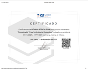 Comunicacao-Virtual-no-Ambiente-de-Trabalho