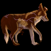 9E800CFC-C849-4B25-8FE3-8E2B5704D080