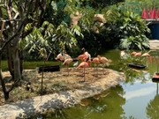 IMG-2240