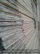 carton-mohammad (14)