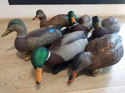 Авиан х чучела уток. Авиан х чучела уток. Шилохвость утка чучело. Ghg чучела. Avian-x top flight preener/rester mallard duck decoys 6 duck decoys.