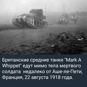 https://i.postimg.cc/gLmfSHT4/photo-2026-05-04-02-41-16.jpg