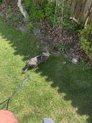 AC6D8ADA-8B4D-43E4-9416-63F22B60E6E8