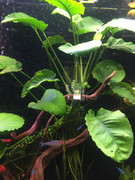 36414CC5-61A8-451C-9A41-EC30B4EF2717