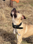 IMG_20230416_173305_465