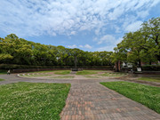 IMG_5860_série_3_45