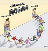 263769054 598021784629267 7836467446138095251 n