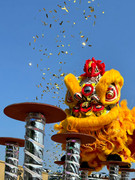 Lion Dance_33