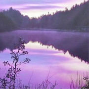 f228409fe416a0e17da4e0b3056fae41