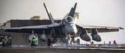 https://i.postimg.cc/gX5sq2J9/FA-18-E-VFA-105-squadron-photo-008.jpg