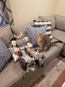 Haslab-Unicron-Test-Shot-7