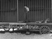 300mbunited-me-00012