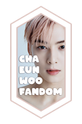 banner08chaeunwoofandom