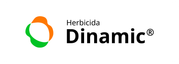 Dinamic