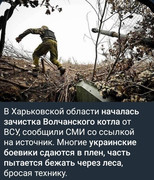 https://i.postimg.cc/gXCPxzqV/photo-2026-09-04-18-57-55.jpg