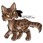 brown spotted bengal