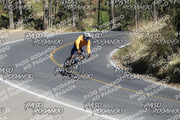 IMG-1379