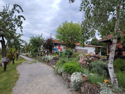 IMG-20250521-113106.jpg