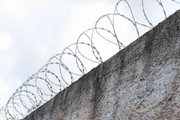 Galvanized barbed wire fencing installation for boundary security