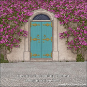 CCC Bougainvillea Door