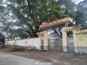 69af9baegy1i62sq2lh3qj21400u0thq