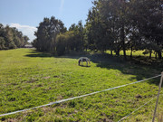 PXL_20211004_132051524