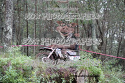 IMG-6592