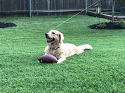 image_2023-02-02_225307466