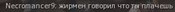 2a.jpg