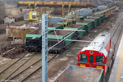 IMG-5432