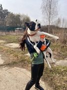 IMG_20230415_233138_488