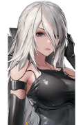a2