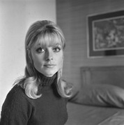 sharon-tate-me27