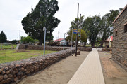 DSC-0015