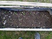 [Image: garden11.jpg]