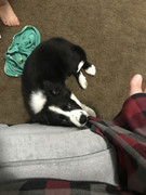 94229A16-EF2E-4B0D-BD74-2BC16B57DC86