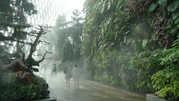 Cloud Forest 09