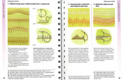 Betti-Barnden-Vyshivka-Entsiklopedia-31